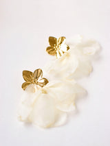 Boucles AMARI