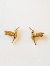 Boucles Colibris