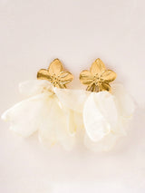 Boucles AMARI