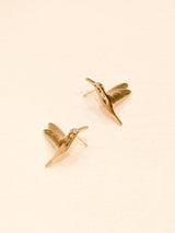 Bo Colibris