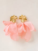 Boucles ANAHI
