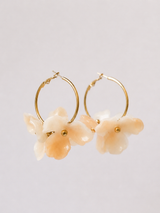 Boucles DUNE