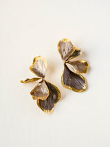 Boucles AMIA