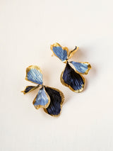 Boucles AMIA