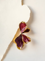 Boucles AMIA