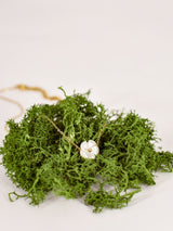 Collier Vanille