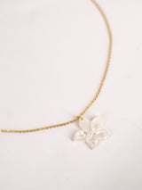 Collier HUA