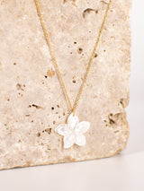 Collier HUA