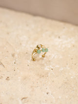 ARIA-Ring