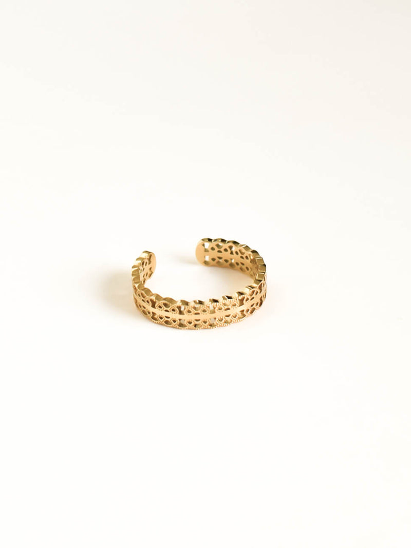 DANY ring
