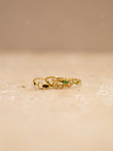 ROVI-Ring