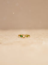 ROVI-Ring