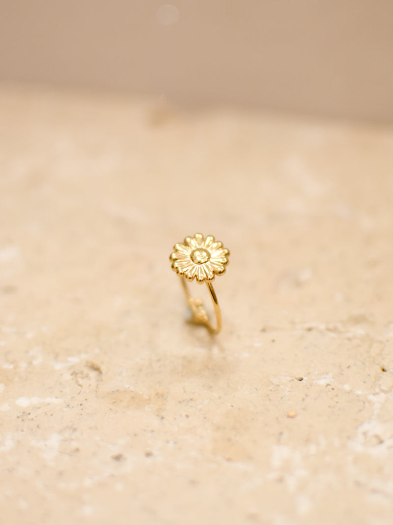 Bague Vani